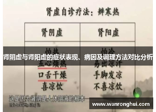 肾阴虚与肾阳虚的症状表现、病因及调理方法对比分析