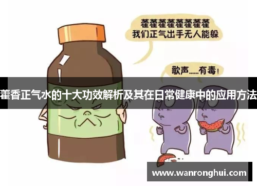 藿香正气水的十大功效解析及其在日常健康中的应用方法